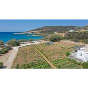 seaside Villa Glyfa Paros