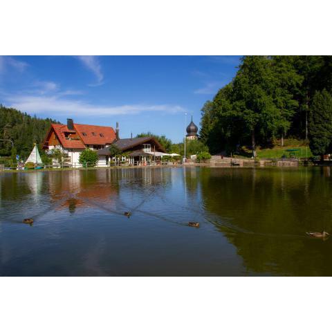 Self-check-in Ferienwohnungen & Apartments am Bergsee