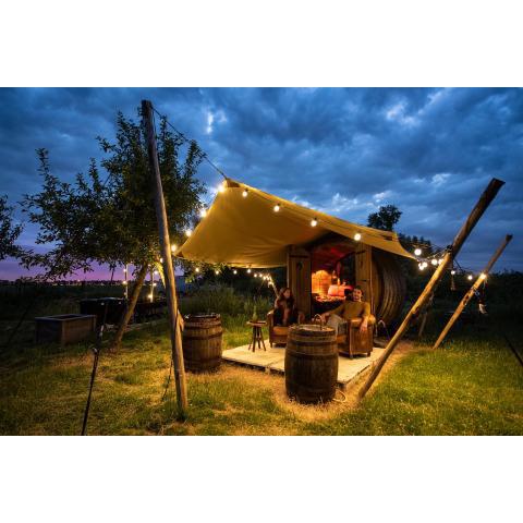 Slapen tussen de schapen in een Tiny Wineyhouse