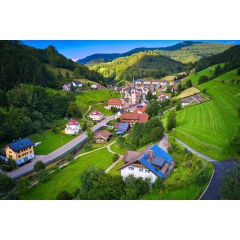 Steepleview House, Schwarzwaldblick Apartment - spacious & peaceful