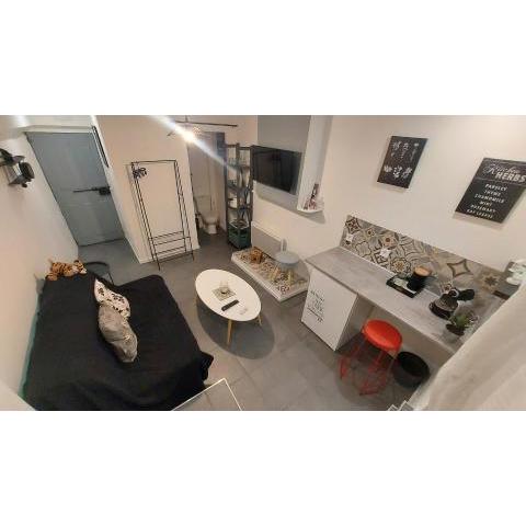 Studio 17m2 avec salle d'eau et wc