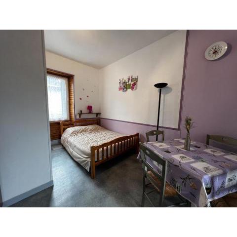 Studio La Bourboule, 1 pièce, 2 personnes - FR-1-667-41