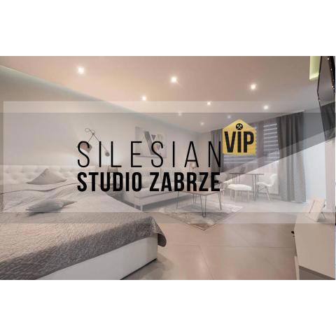 Studio Silesian Vip