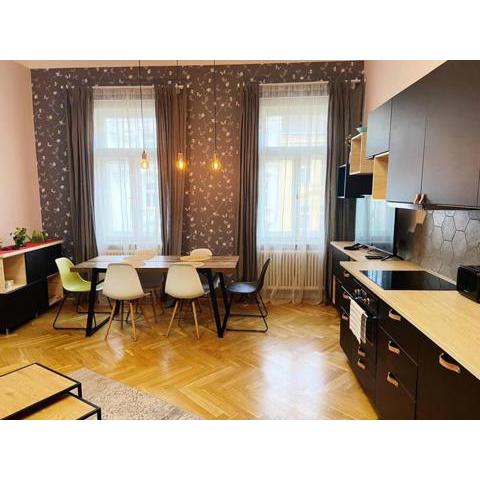 Stunning new 2 bedrooms aptartment in Prague centre