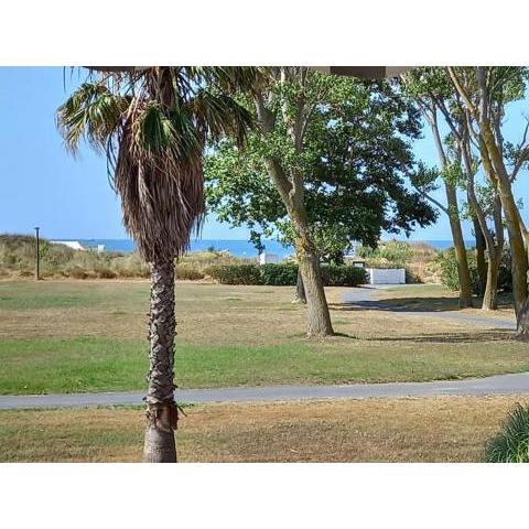 T2 vue mer, parking, piscine, commerce, plage C14