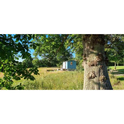 The Lookout Shepherd's Hut