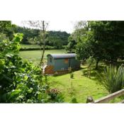 The Lookout Shepherd's Hut