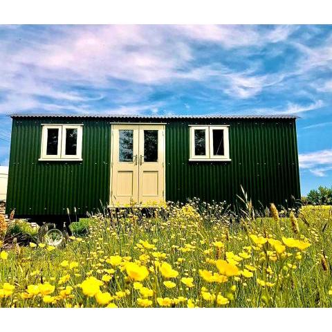 The Old Post Office - Luxurious Shepherds Hut 'Far From the Madding Crowd' based in rural Dorset.