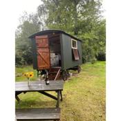 The Shepherd's Hut - Wild Escapes Wrenbury off grid glamping - ages 12 and over