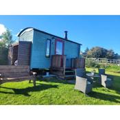 The Shepherds Hut at Forestview Farm