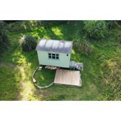 The Warren - Cosy Shepherds Hut in beautiful wild meadow