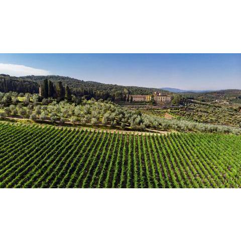 Torre a Cona Wine Estate