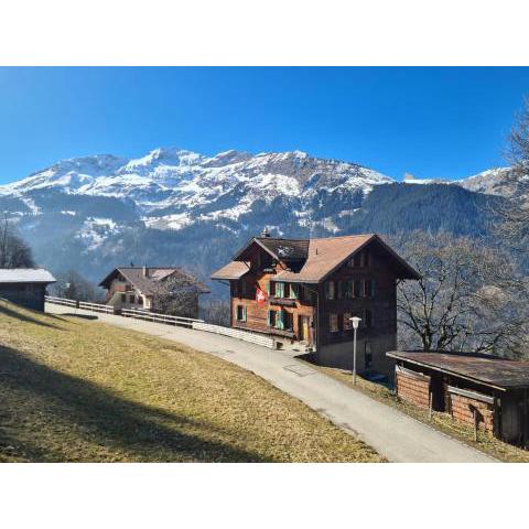 Traditional chalet, Talblick