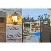Villa Camellia Crete
