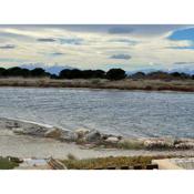 Villa Port Leucate pieds dans l eau 6 personnes