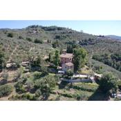 Villa Vestra in Vinci holiday home