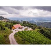 Vineyard cottage Škatlar 3