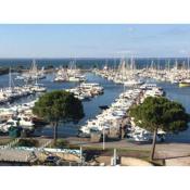 Vue spectaculaire sur le port d'Arcachon