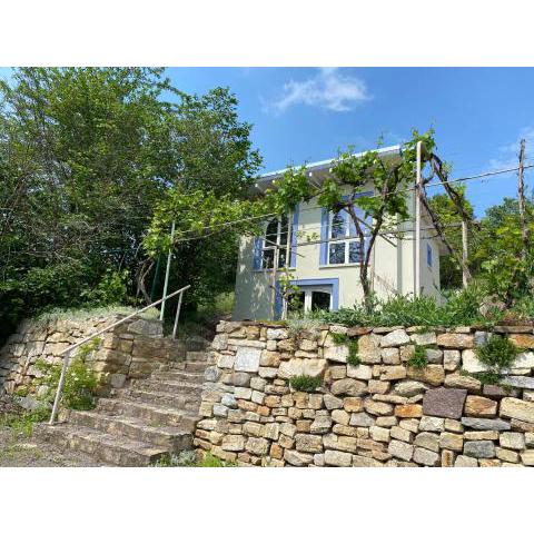 Weinbergshaus mit Blick auf's Wasser