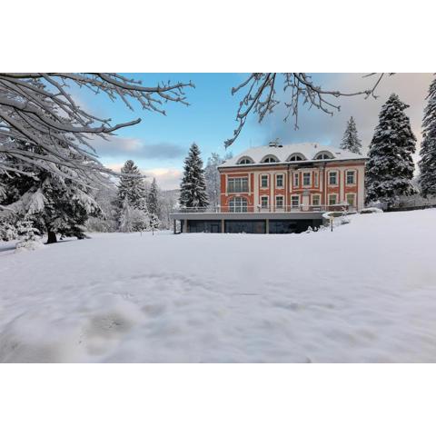 Wellness & Spa hotel Villa Regenhart