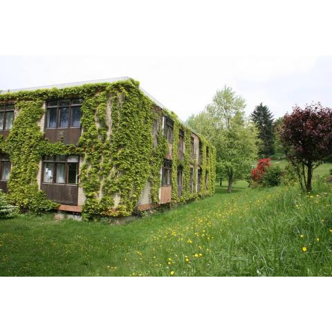 Wildbach Appartement