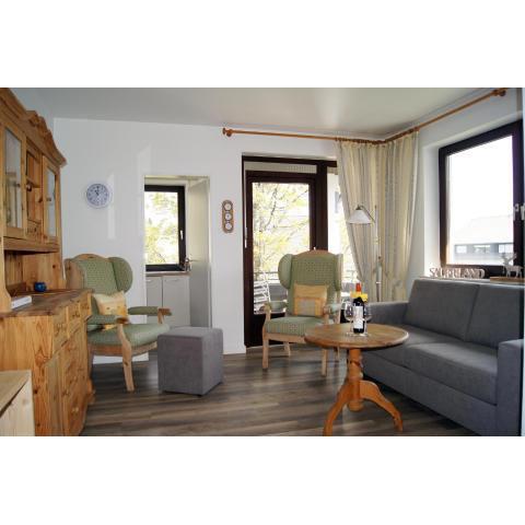 Winterberg Appartement 21041