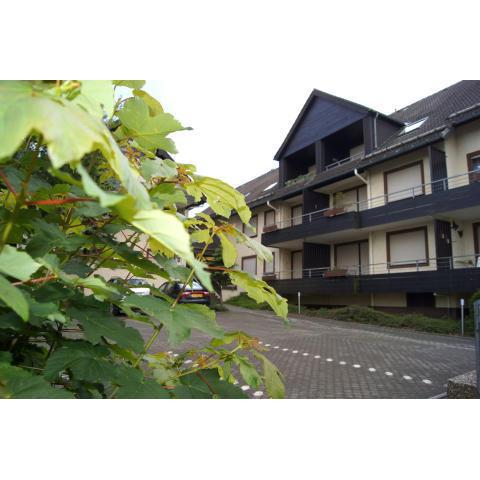 Winterberg Appartement 21077